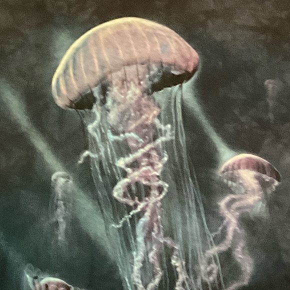 Jellyfish t shirt - Picture 2 of 5